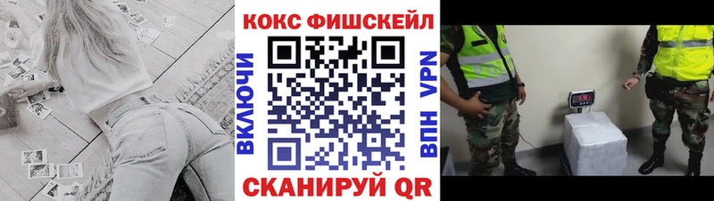 как найти закладки  Сокол  COCAIN 98% 