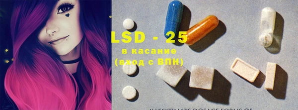 крисы Абаза