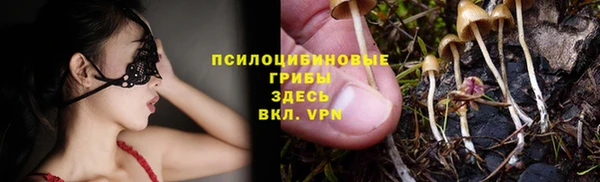 твердый Заволжск