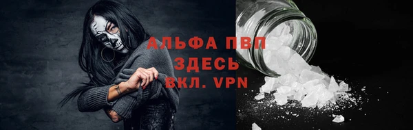 эйфоретик Осташков