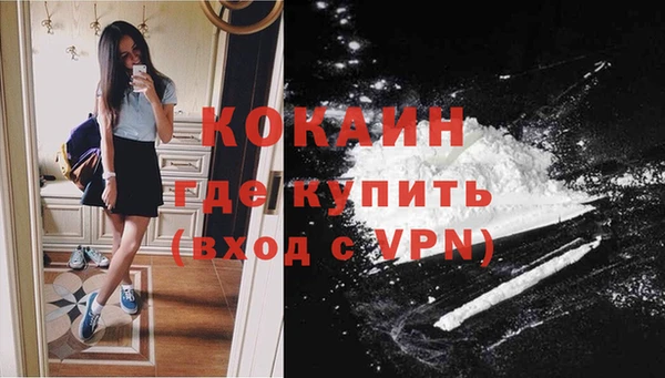 стафф Осинники