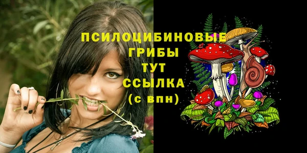 дмт Абинск