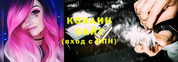 крисы Абаза
