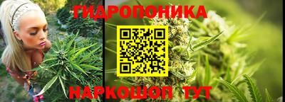 прущие грибы Первоуральск
