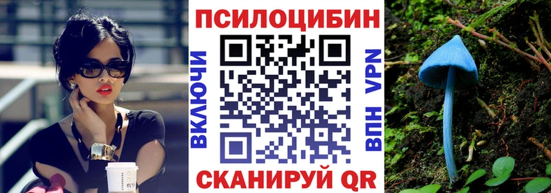 Псилоцибиновые грибы Psilocybe  Сокол 