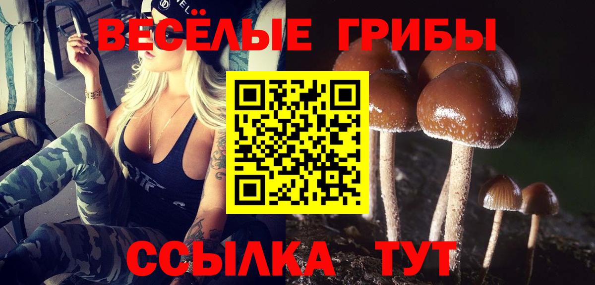 Псилоцибиновые грибы Psilocybine cubensis  Псилоцибиновые грибы GOLDEN TEACHER  купить наркотики сайты  Сокол  Вход с VPN 