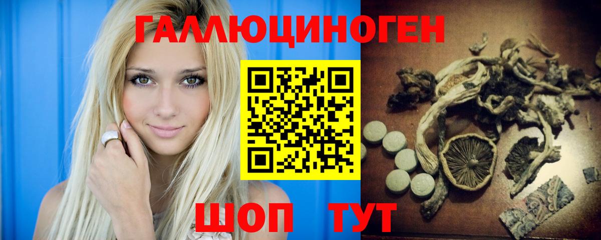Галлюциногенные грибы GOLDEN TEACHER Сокол